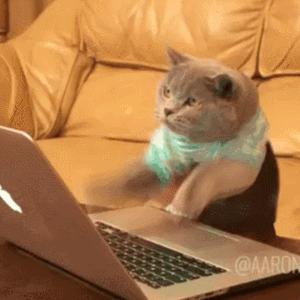Gif кот печатает прикол скачать
