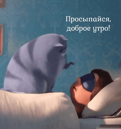 Прикольная gif доброе утро прикол качай для ватсап