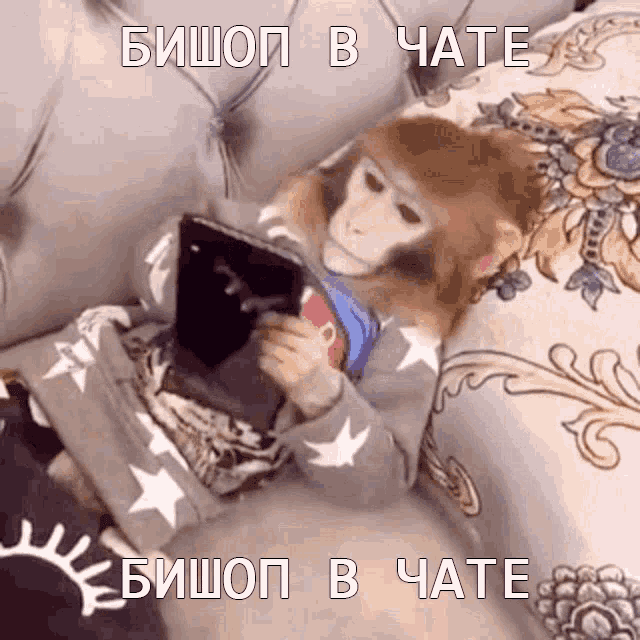 Классная gif обезьяна прикол качайте для телеграм