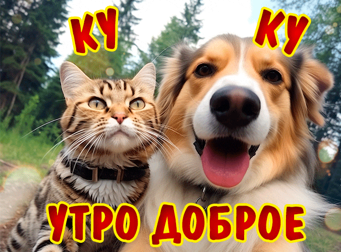 Gif доброе утро загрузить для Telegram