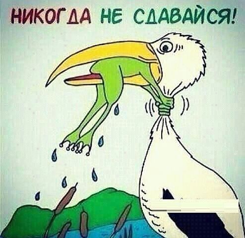 Прикольные мемы не сдавайся скачать для вк