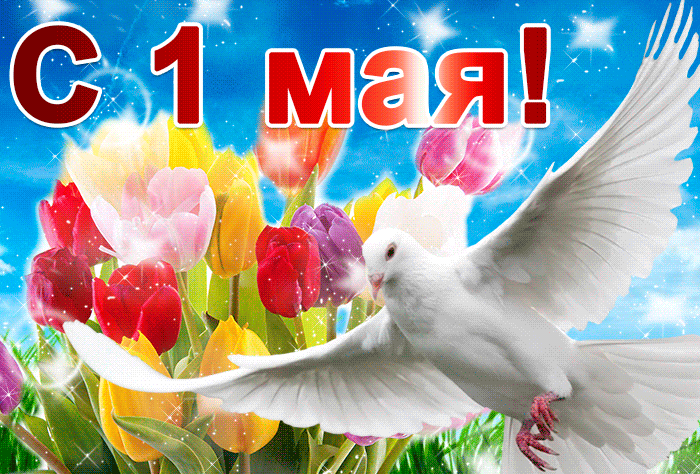 Уникальная гифка 1 мая загружай без смс и регистрации