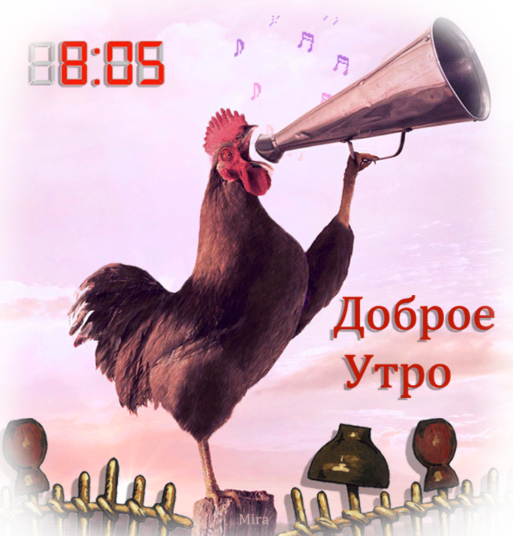 Гиф картинка доброе утро быстро загрузить бесплатно