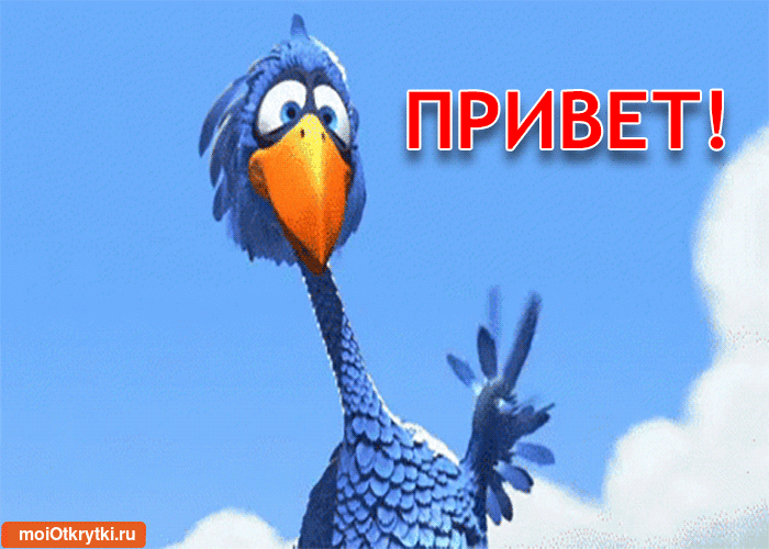 Оригинальная gif привет быстро скачивайте без регистрации